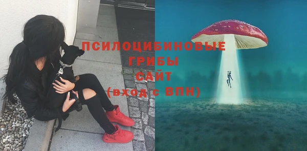 синтетический гашиш Каменск-Шахтинский