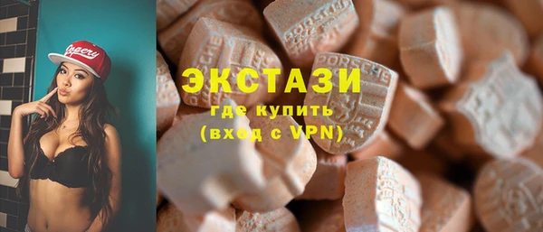 гашик Каменка