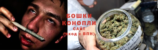 гашик Каменка