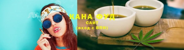 гашик Каменка