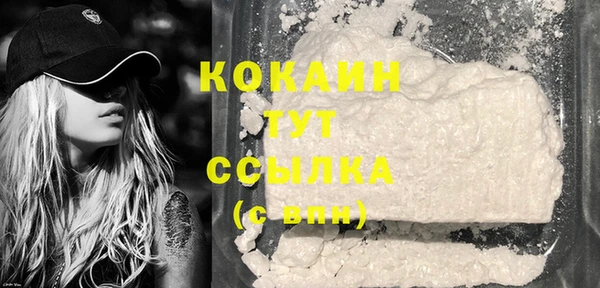 гашик Инсар