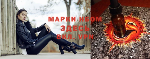 гашик Каменка