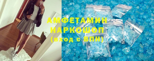 гашик Каменка
