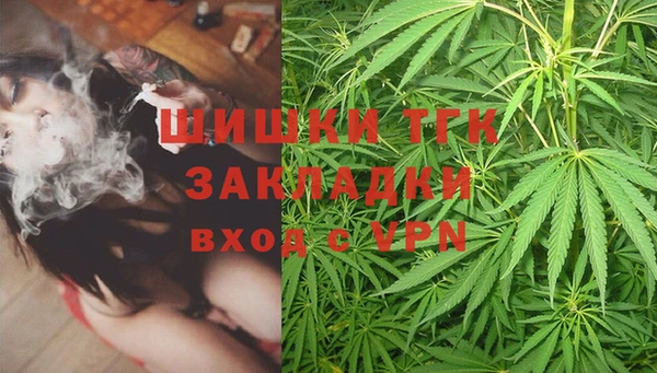 гашик Каменка