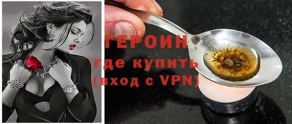 гашик Каменка