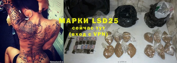 гашик Инсар