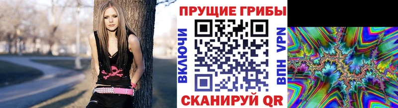 Псилоцибиновые грибы Magic Shrooms  Купить где  Ардон 